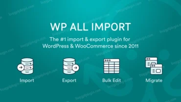 buygplplugin-wp-all-import-pro-with-license-key